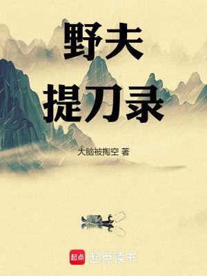 野夫提刀录TXT精校